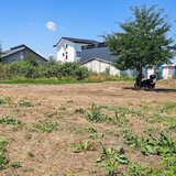 Bragadiru, str. Dunarii, curte 530 mp intre case, semistradal